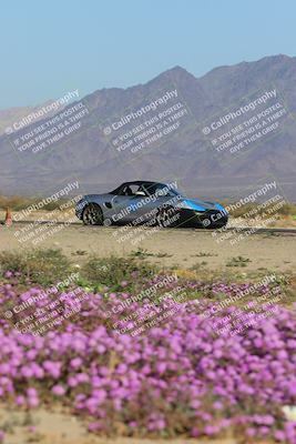 media/Jan-29-2023-PCA San Diego (Sun) [[aa0301ccc2]]/Yellow Group/Session 1 (Turn 15 Bloom)/